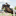 Favicon van nwhorsetraining.nl
