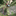 Favicon van obtadelinde.nl