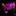 Favicon van octopus-licht-geluid.nl