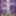 Favicon van odess.nl
