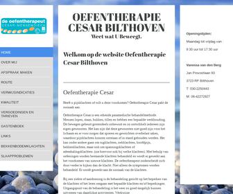 http://www.oefentherapiecesarbilthoven.nl
