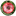 Favicon van ontdekenverwonder.nl
