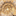 Favicon van organamic.nl