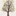 Favicon van oudebomen.nl