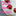 Favicon van ouisansgluten.nl