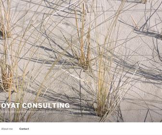 Oyat consulting