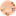 Favicon van pauletteenvadrouille.fr