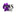 Favicon van paws-ability.nl