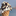 Favicon van paal55.nl