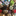 Favicon van paolosistilli.nl