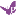 Favicon van papillonpetproducts.com