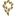 Favicon van papita.nl