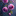 Favicon van paracentrumderoos.nl