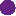 Favicon van pasquallecoffa.com