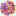 Favicon van passie-protocol.nl