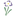Favicon van patrickfleming.nl