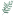 Favicon van paulhoevenaars.nl