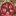 Favicon van paulshirleysucculents.nl