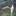 Favicon van paulwolfs.nl