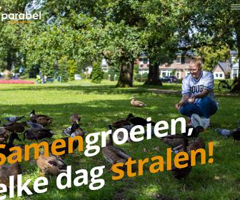 http://www.parabeldagbestedingen.nl