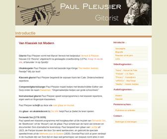 Paul Pleijsier, gitarist