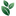 Favicon van pcbomen.nl