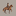 Favicon van perolchico.com