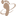 Favicon van pedicureasten.nl