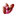 Favicon van pedicuredronten.nl