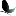 Favicon van pesamera.nl
