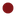 Favicon van petervanlimpt.nl
