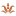 Favicon van petraoostenrijk.nl