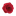 Favicon van petronilia.nl