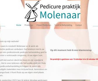 http://www.pedicurepraktijkmolenaar.nl