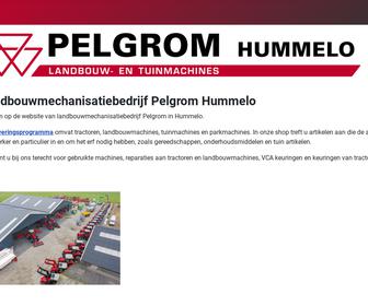 http://www.pelgrom.nl