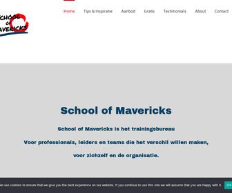 School of Mavericks