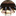 Favicon van philipleussink.nl