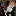 Favicon van pianisteliza.nl