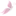 Favicon van pieterneldeurne.nl