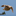 Favicon van pietvandenhout.com