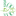 Favicon van pilates4you2.nl