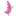 Favicon van pinkbanana.nl
