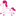 Favicon van pinkfluffyunicorns.nl