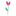 Favicon van pinkva.nl