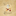 Favicon van piratespicnic.nl