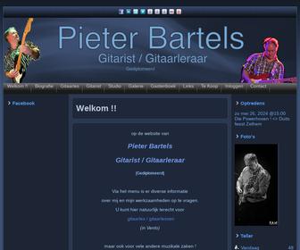 Pieter Bartels Gitarist Gitaarleraar