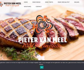 http://www.pietervanmeel.nl