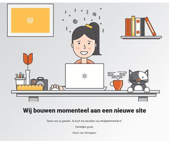 http://www.pitinbedrijf.nl