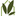 Favicon van plantdelivery.nl