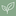 Favicon van plantjeonline.nl